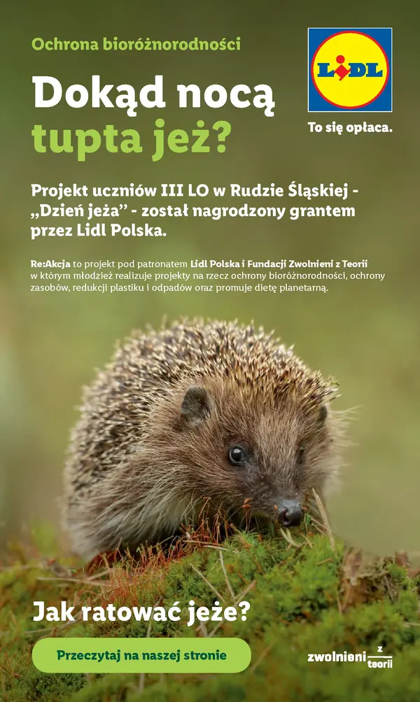 Strona 55 gazetki Lidl
