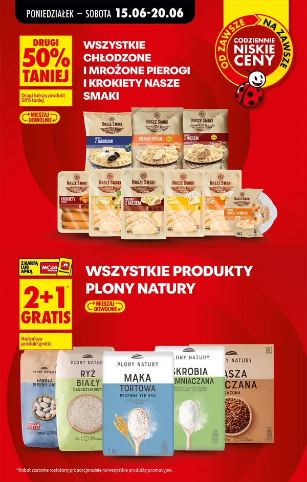 Strona 13 gazetki Biedronka