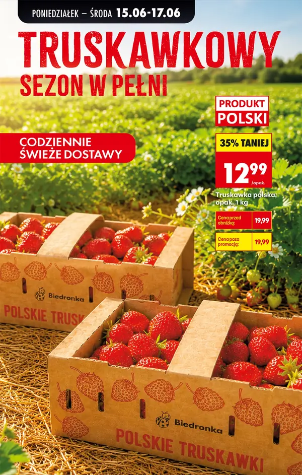 Strona 33 gazetki Biedronka