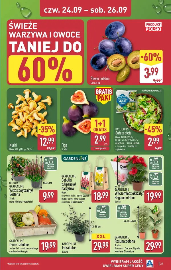 Strona 37 gazetki Aldi