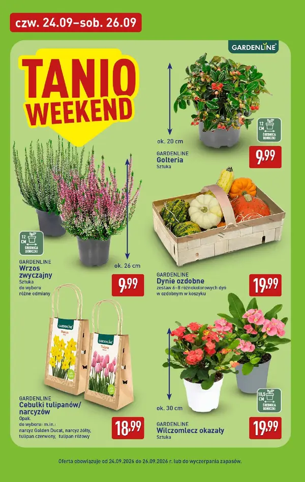 Strona 38 gazetki Aldi