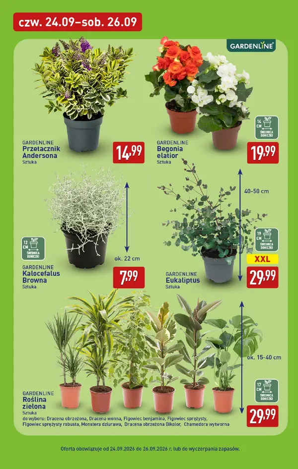 Strona 39 gazetki Aldi