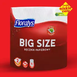 Floralys Ręcznik papierowy 2-warstwowy, big size