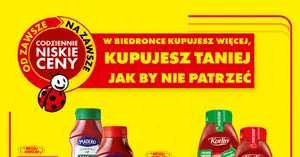 Szokująca obniżka ketchupów w Biedronce — Pudliszki z 12,99 zł na 8,49 zł. Kup teraz!